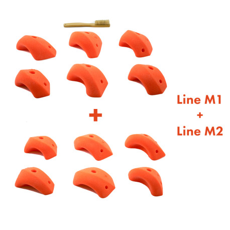 Line M1 & Line M2