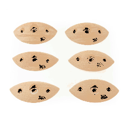 Crimp Leaf Hard 6pcs - 1