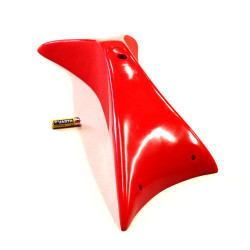 Kite 009 - 1
