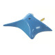 Kite 019 - 4