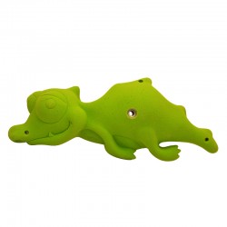 Kids Little Crocodile