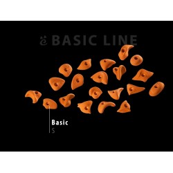 Basic S