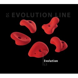 Evolution L1