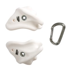 BONES - The Scapula Bones