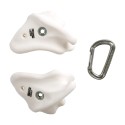BONES - The Scapula Bones