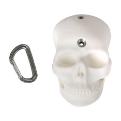 BONES - The Half Skull