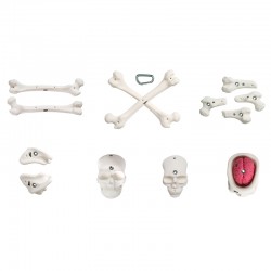 Bones Pack